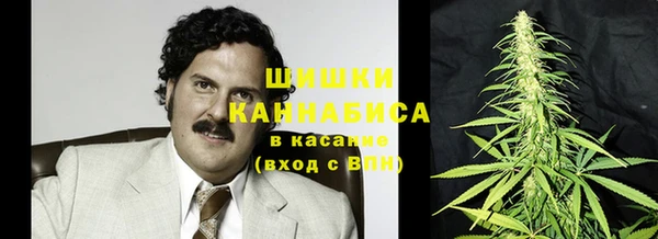 шишки Белокуриха