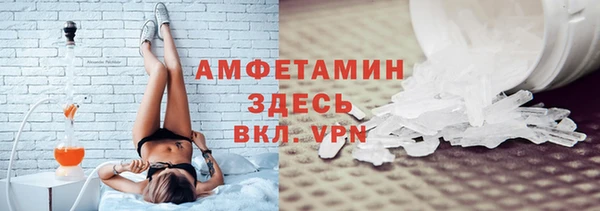 шишки Белокуриха