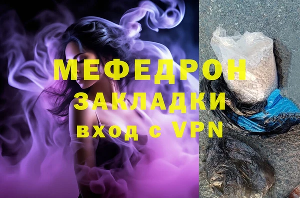 шишки Белокуриха