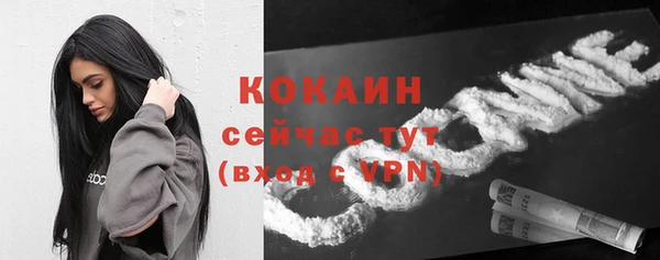 шишки Белокуриха