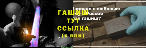 шишки Белокуриха
