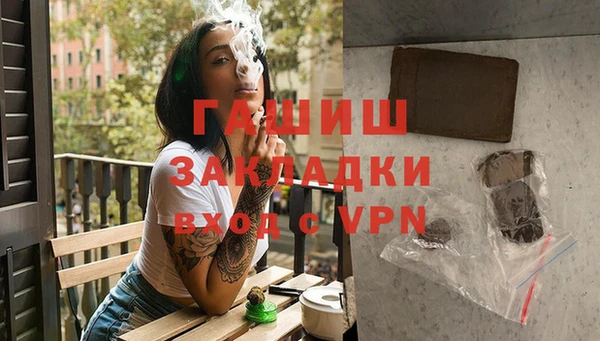 шишки Белокуриха