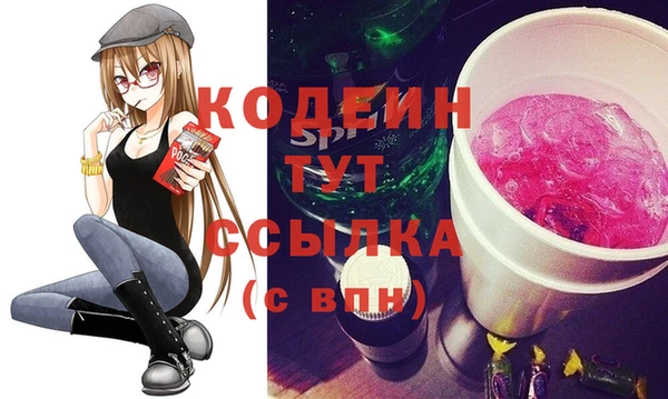 шишки Белокуриха