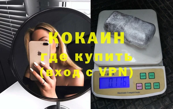 шишки Белокуриха
