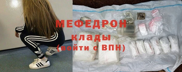 шишки Белокуриха