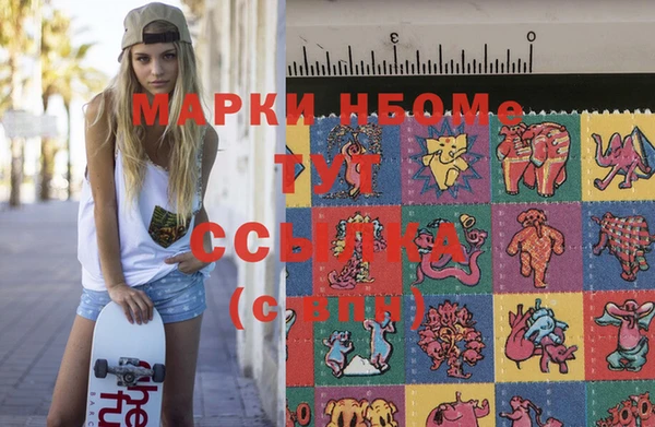шишки Белокуриха