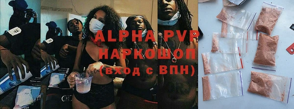шишки Белокуриха